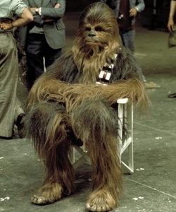 Chewbacca